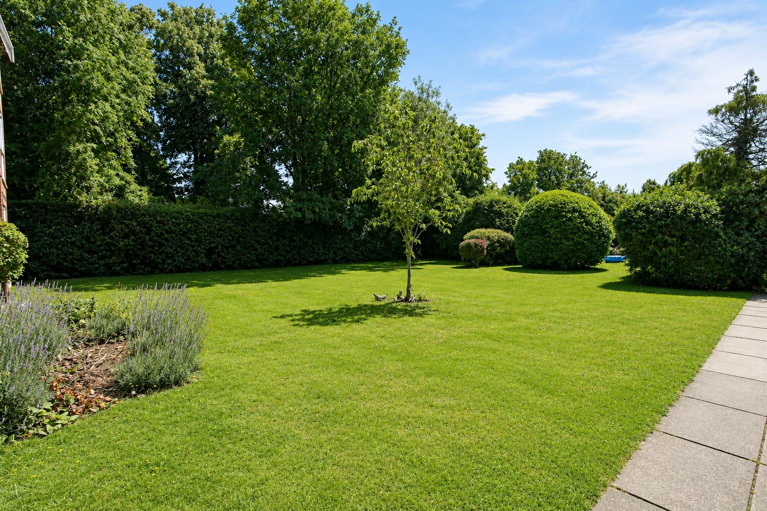 10 Harcourt Avenue, Wallington